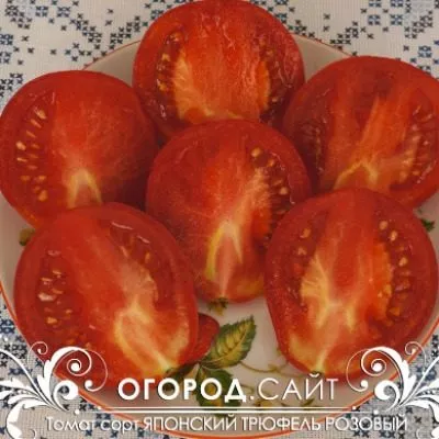 yaponskiy-tryufel-rozovyy-8-163719