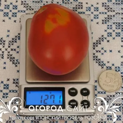 yaponskiy-tryufel-rozovyy-9-163719