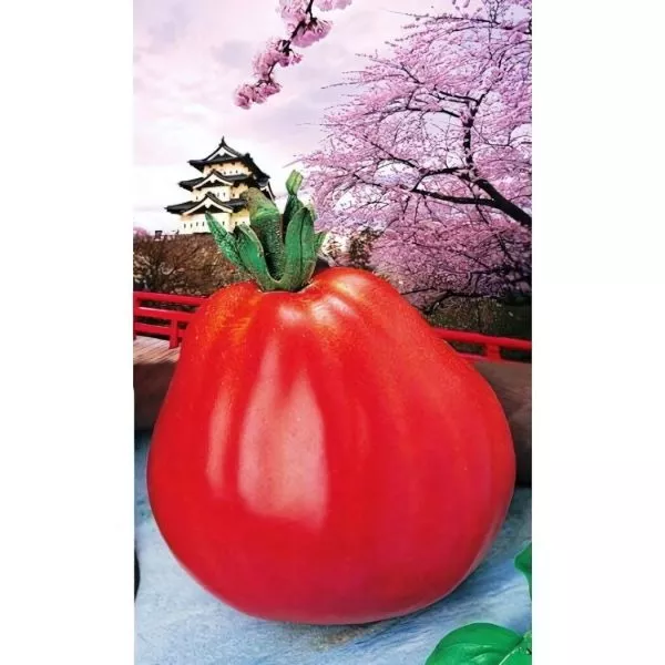 yaponskiy-tryufel-rozovyy-main-163719