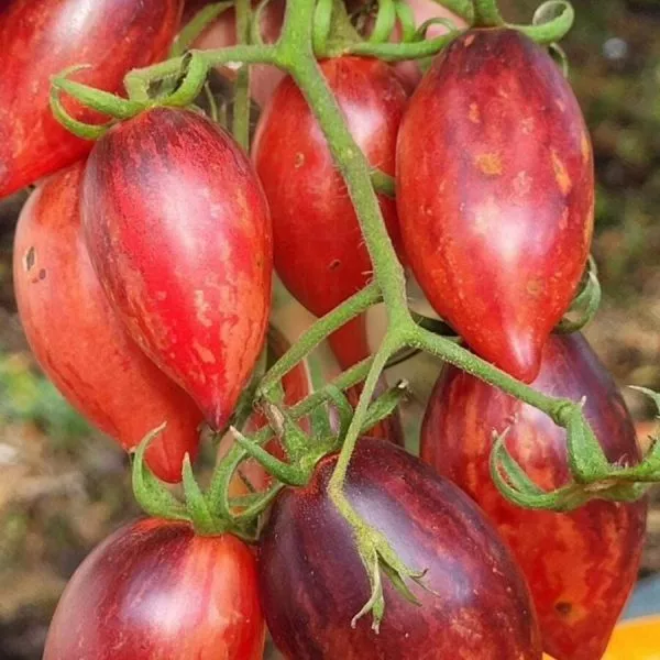 zagadka-klubnichnogo-vodopada-3-168556