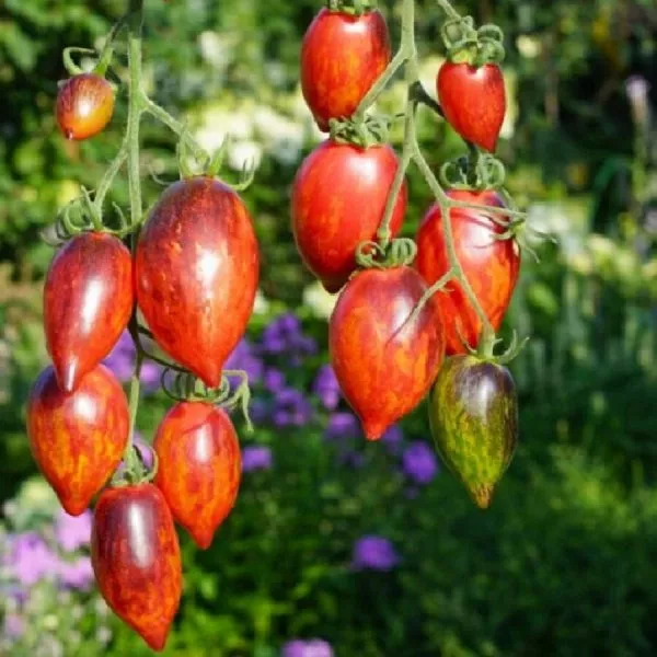 zagadka-klubnichnogo-vodopada-4-168556