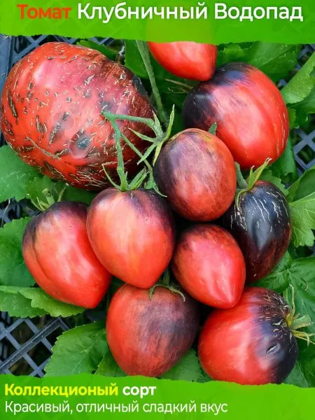 zagadka-klubnichnogo-vodopada-6-168556