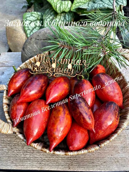 zagadka-klubnichnogo-vodopada-7-168556