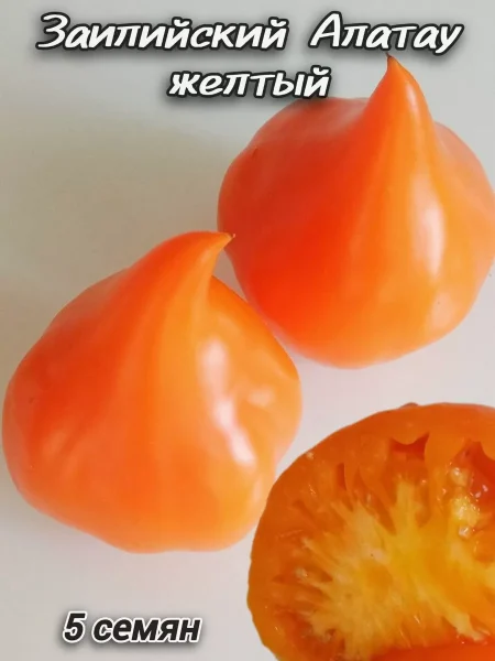 zailiyskiy-alatau-zheltyy-10-154435