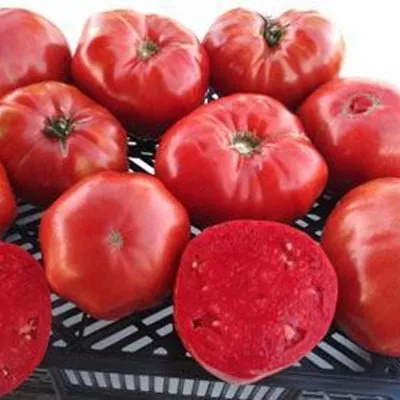 zamok-shartr-10-160704