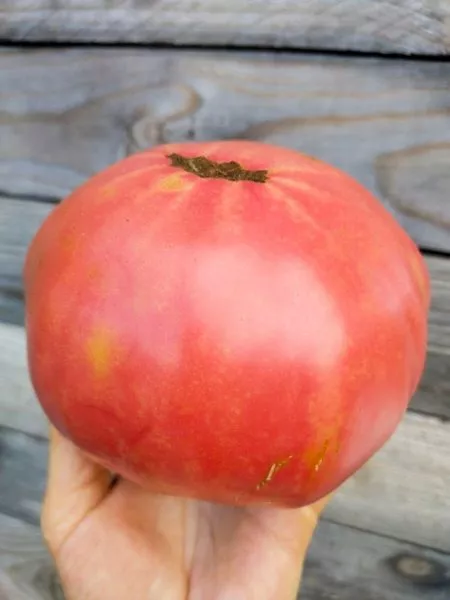 zamok-shartr-2-160704