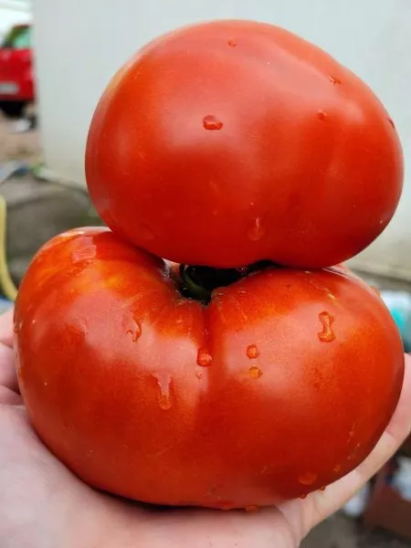 zamok-shartr-3-160704