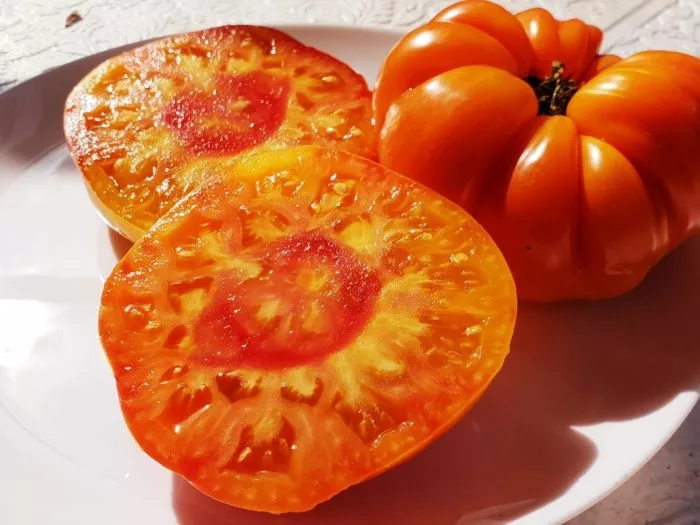 zamok-shartr-5-160704