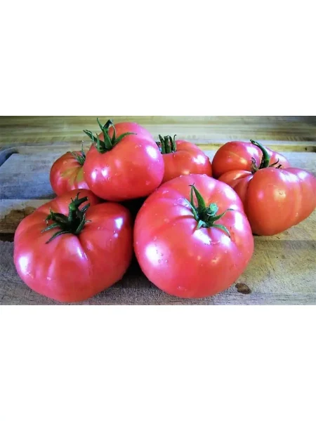 zamok-shartr-6-160704