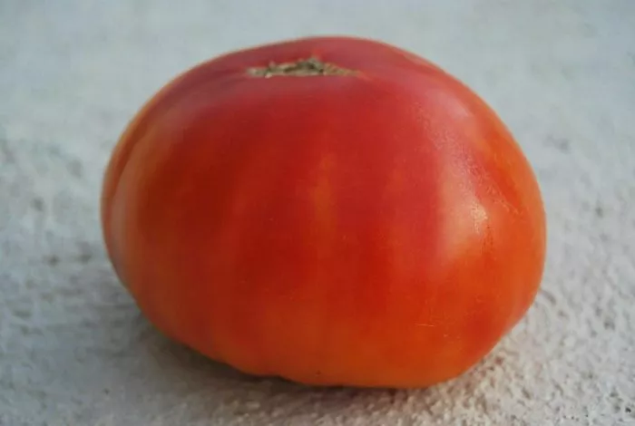 zamok-shartr-7-160704