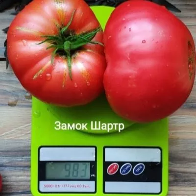 zamok-shartr-9-160704