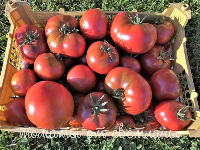 zamok-shartr-main-160704