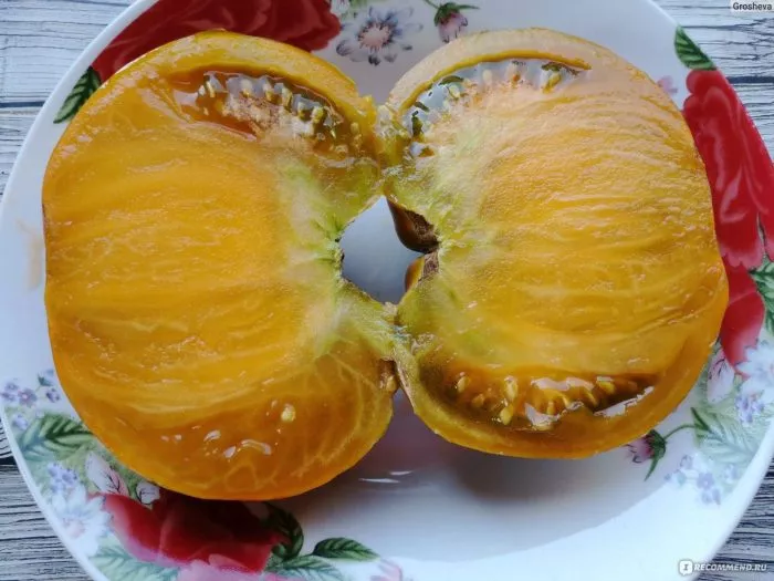 zebra-zheltaya-6-138226