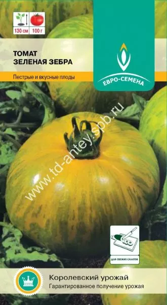 zelenaya-zebra-2-139374