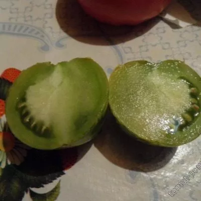 zelenaya-zebra-8-139374