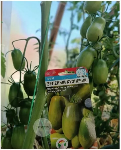 zelenyy-kuznechik-4-151541