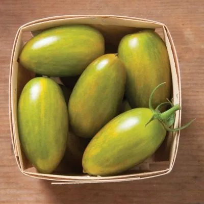 zelenyy-kuznechik-6-151541