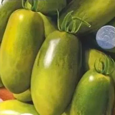 zelenyy-kuznechik-7-151541