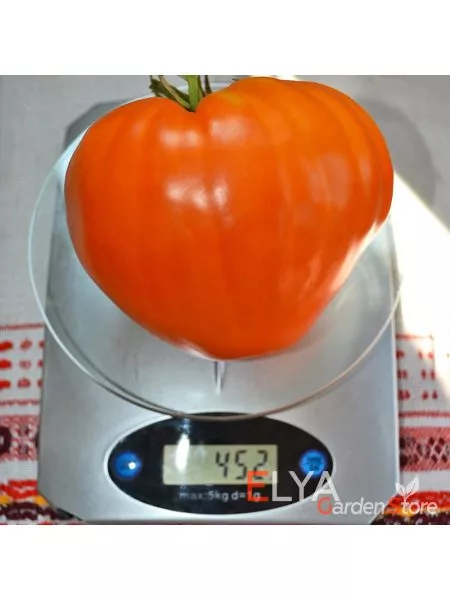 zheltoe-ozero-bret-10-153742