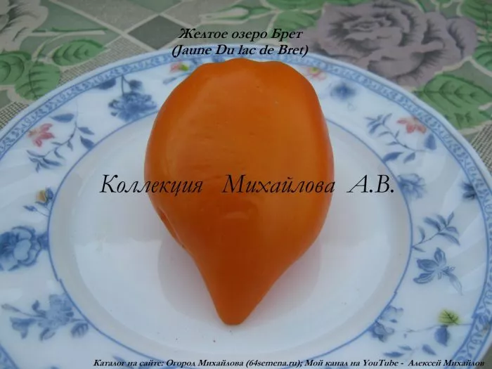 zheltoe-ozero-bret-12-153742