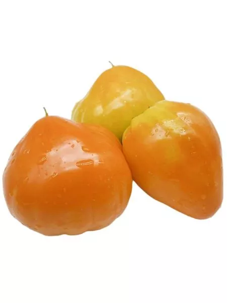 zheltoe-ozero-bret-2-153742