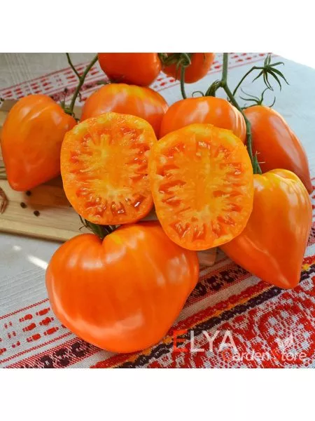 zheltoe-ozero-bret-3-153742