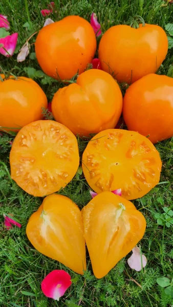 zheltoe-ozero-bret-7-153742