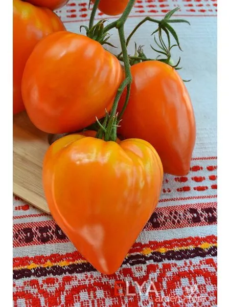 zheltoe-ozero-bret-main-153742