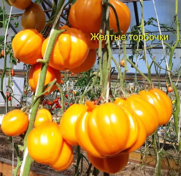 zheltye-torbochki-10-148186