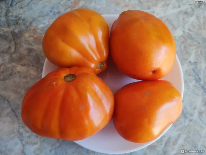 zheltye-torbochki-2-148186