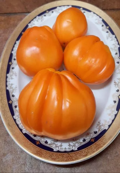 zheltye-torbochki-5-148186