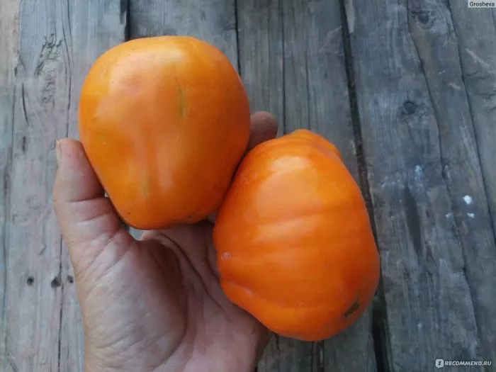 zheltye-torbochki-6-148186