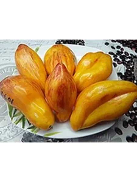 zheltyy-tyulpan-1-148681