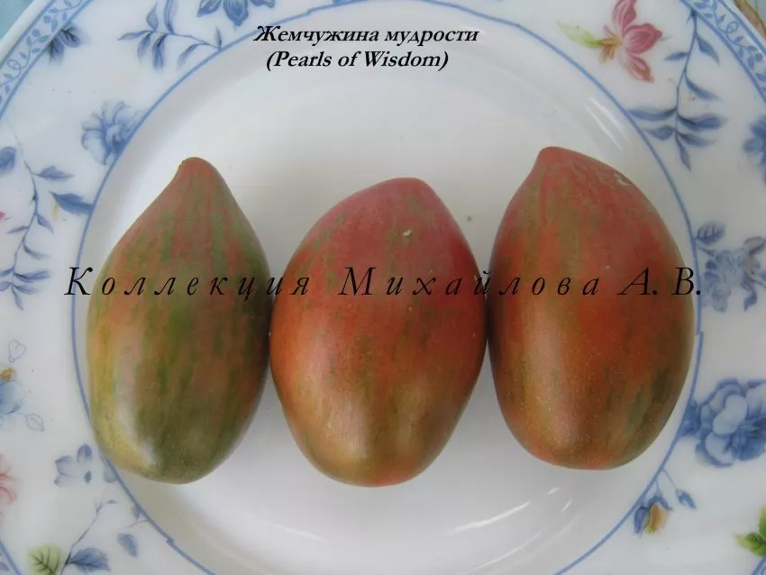 zhemchuzhina-mudrosti-1-131785