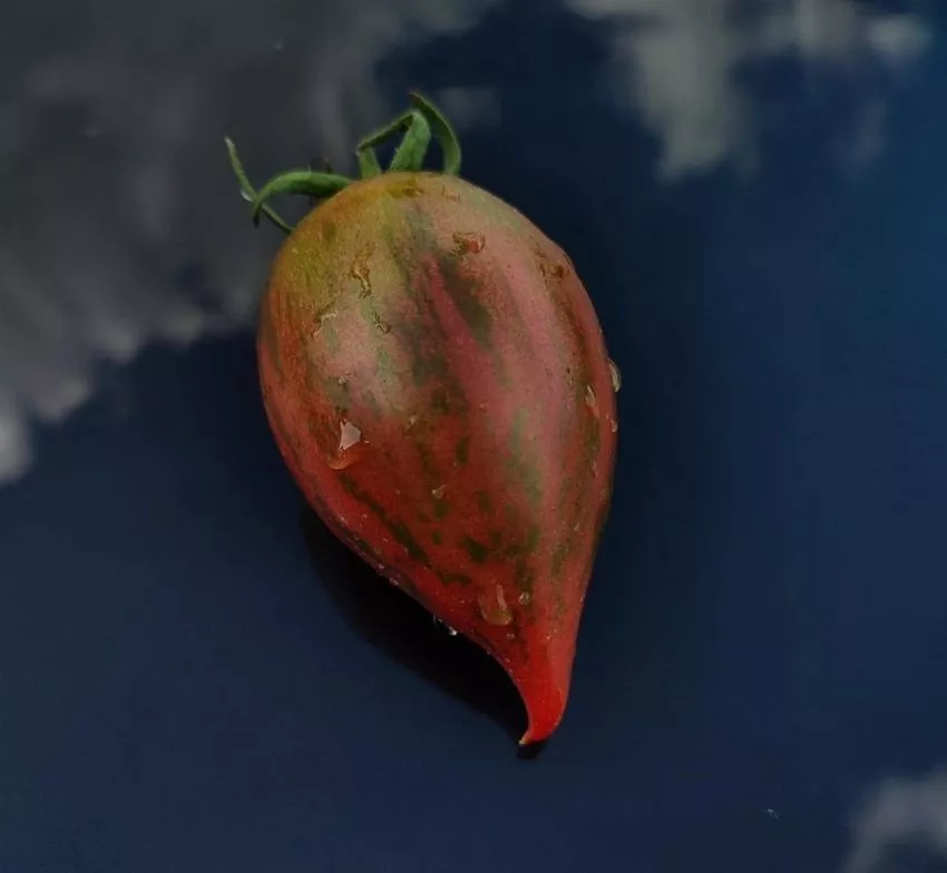 zhemchuzhina-mudrosti-2-131785