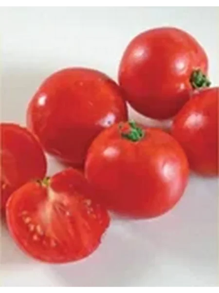 zhenechka-main-143173