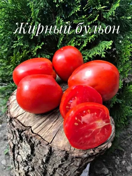 zhirnyy-bulon-2-143074