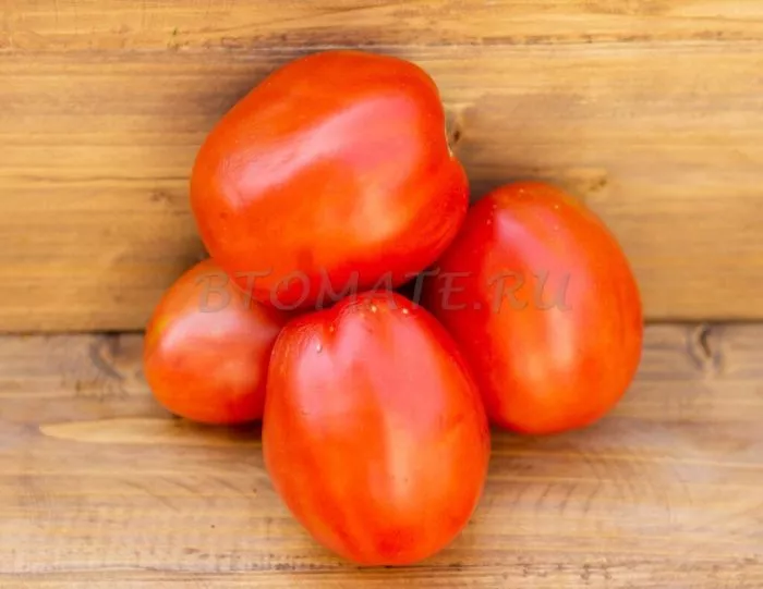 zhirnyy-bulon-3-143074