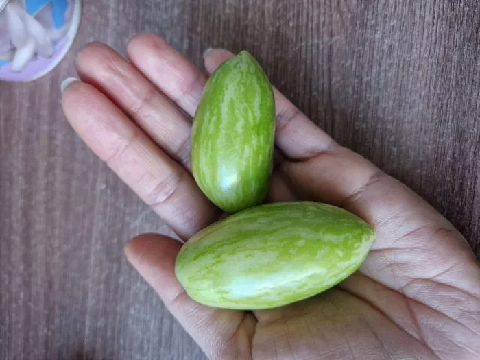 zolotaya-rossyp-3-162717