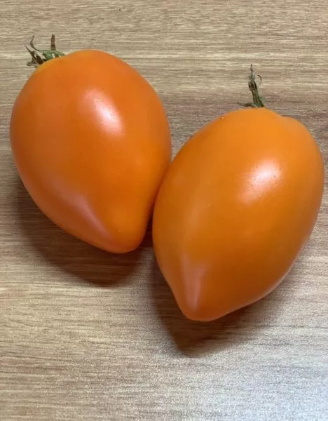 zolotoy-buratino-1-139386