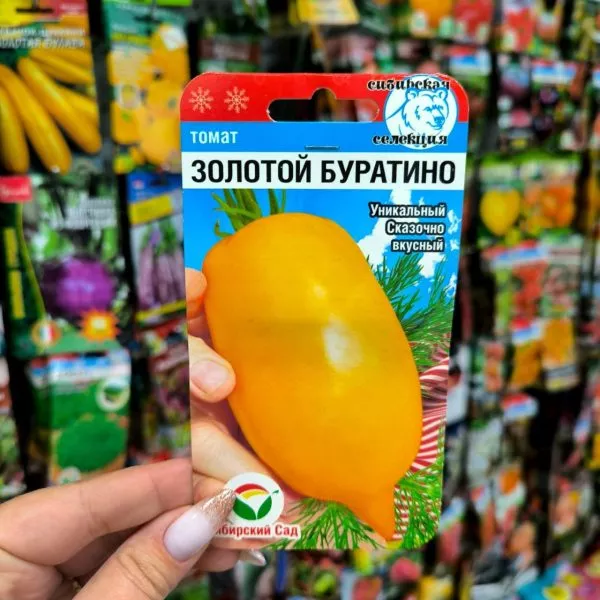 zolotoy-buratino-3-139386