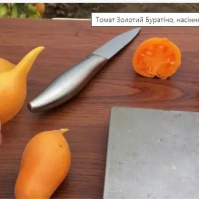 zolotoy-buratino-4-139386