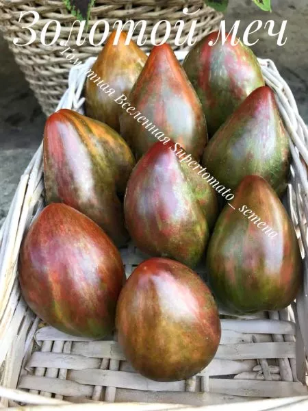 zolotoy-mech-1-163971