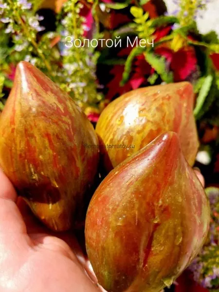 zolotoy-mech-5-163971