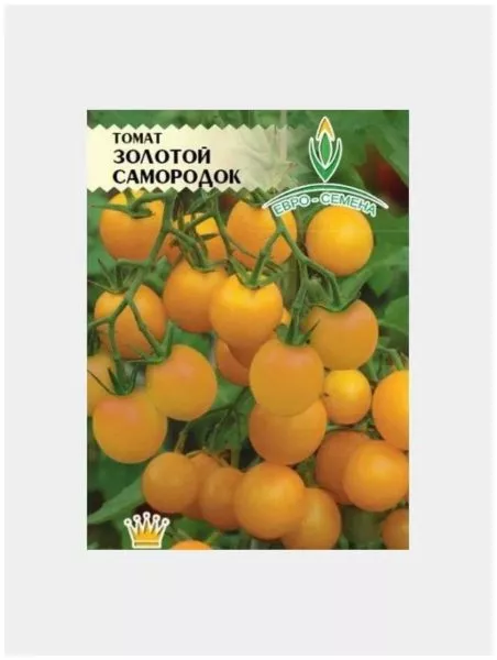 zolotoy-samorodok-1-154702