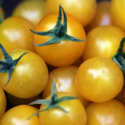 zolotoy-samorodok-6-154702