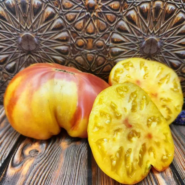 zvezda-tashkenta-3-168323