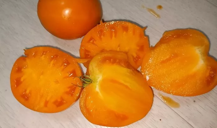 abrikos-villy-karibu-4-172003