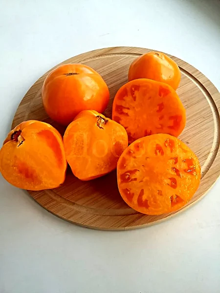 abrikos-villy-karibu-5-172003