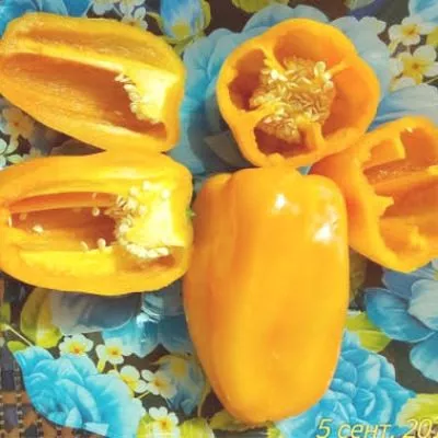 abrikosovaya-favoritka-8-182484